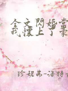 全文闪婚当天,我怀上了豪门继承人