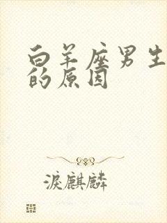 白羊座男生冷淡的原因