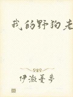 我的野狗老公