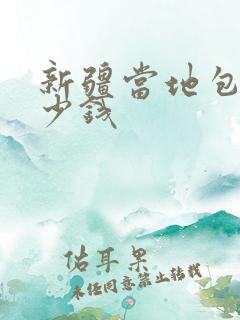新疆当地包车多少钱