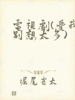 电视剧(爱我就别想太多)