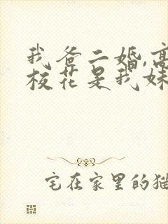 我爸二婚,高冷校花是我妹短剧