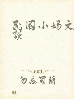 民国小妈文学小说