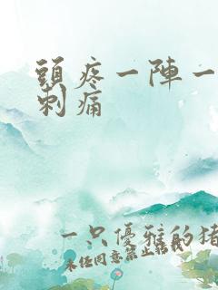 头疼一阵一阵的刺痛 头疼一阵一阵的刺痛