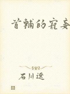 首辅的宠妾