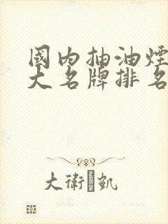 国内抽油烟机十大名牌排名