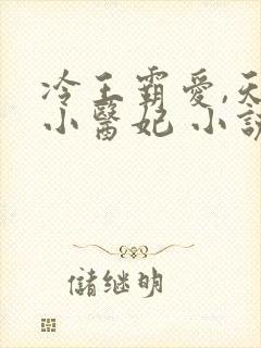 冷王霸爱,天才小医妃 小说