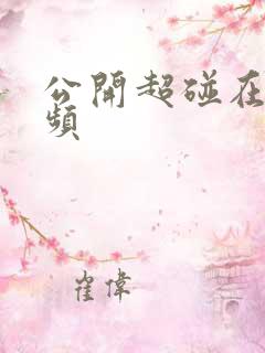 公开超碰在线视频