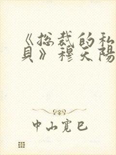 《总裁的私有宝贝》穆天阳丁宛情