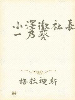 小泽彻社长秘书一乃葵