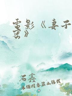 电影《妻子的秘密》