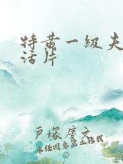 特黄一级夫妻生活片