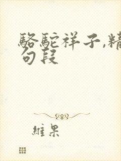 骆驼祥子,精彩句段