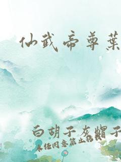 仙武帝尊叶辰版