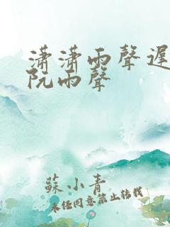 潇潇雨声迟叶潇阮雨声