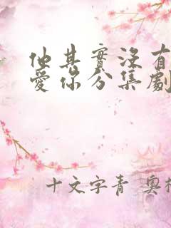 他其实没有那么爱你分集剧情