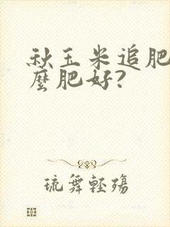 秋玉米追肥用什么肥好?