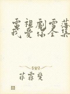 电视剧雪落再说我爱你全集