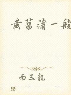 黄菖蒲一般多钱