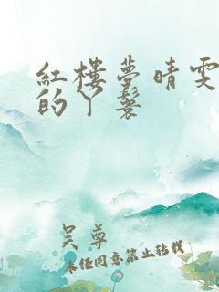 红楼梦晴雯是谁的丫鬟