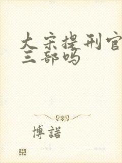 大宋提刑官有第三部吗