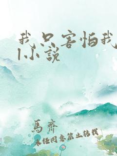 我只害怕我爱你l小说