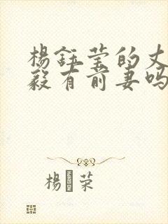 杨钰莹的丈夫鲍毅有前妻吗