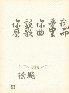 你说你爱我是什么歌曲里面的歌词