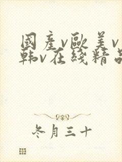 国产v欧美v日韩v在线精品
