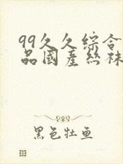 99久久综合精品国产丝袜长腿