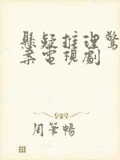 悬疑推理惊悚破案电视剧