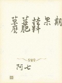 草莓挂果期用什么肥料