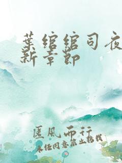 叶绾绾司夜寒最新章节