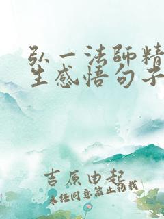 弘一法师精辟人生感悟句子