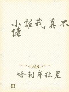 小说我真不是大佬