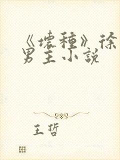 《坏种》徐白双男主小说