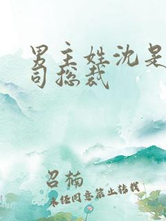 男主姓沈是个公司总裁