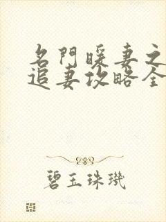 名门暖妻之权爷追妻攻略全集免费