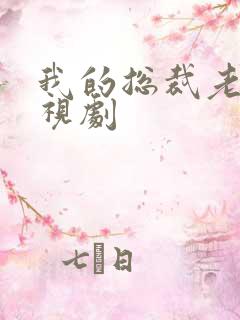 我的总裁老婆电视剧