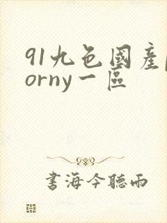 91九色国产porny一区