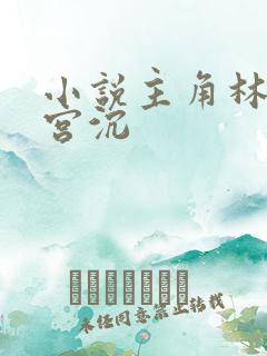 小说主角林知意宫沉