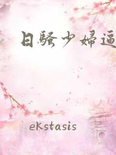 日骚少妇逼