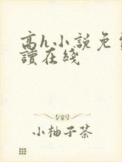 高h小说免费阅读在线