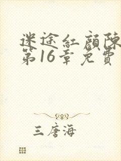 迷途红颜陈梦洁第16章免费阅读