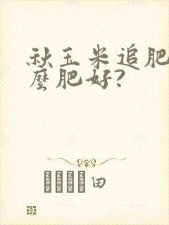 秋玉米追肥用什么肥好?