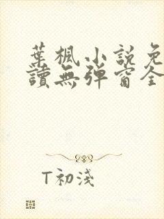 叶枫小说免费阅读无弹窗全文
