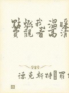 点燃我温暖你免费观看高清全集