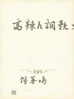 高辣h调教文