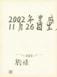 2002年农历11月26日生辰八字