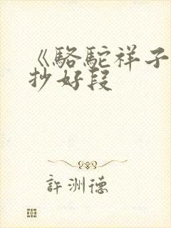 《骆驼祥子》摘抄好段